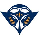 南伊利诺大学