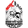 维拉利尔C队