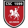 CSMS雅西