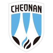 龙仁FC